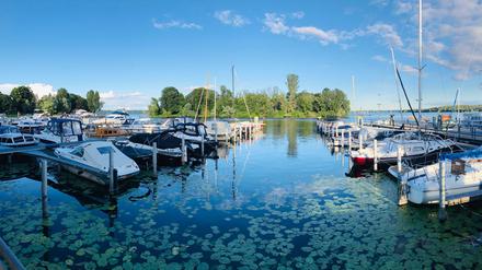 Was für ein Panorama.