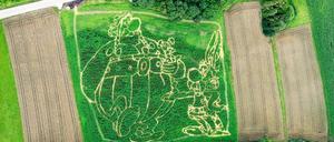 Asterix und Obelix als Irrgarten