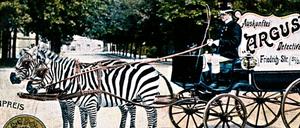 288354_0_9614a394.jpg