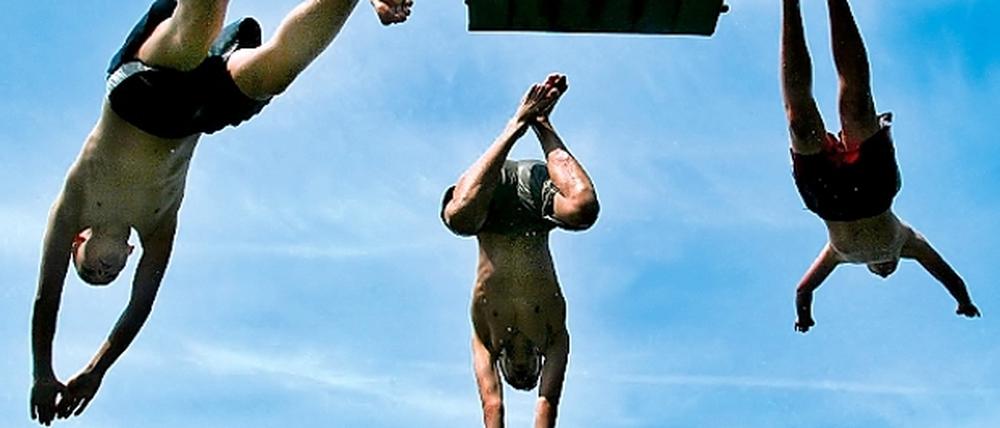 288360_0_8069d089.jpg