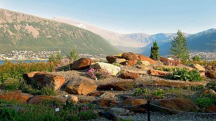 289519_0_40b7c0af.jpg