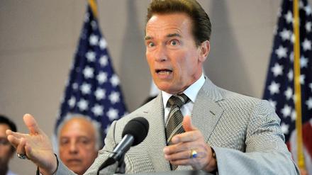 schwarzenegger_dpa