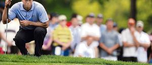 294214_3_xio-fcmsimage-20090814225516-006000-4a85cf346c5d7.heprodimagesfotos85120090815woods2.jpg