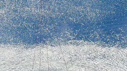 293269_0_56d440cf.jpg
