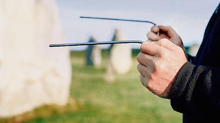 295281_0_84c2b3fd.jpg