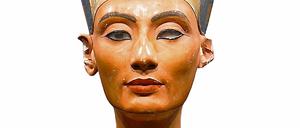 295456_0_0268aff6.jpg