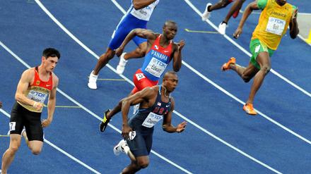 Hering_Bolt