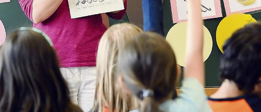 298650_0_7adef571.jpg
