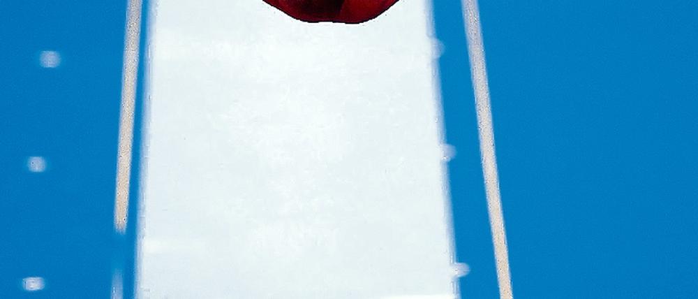 305304_0_c105b587.jpg