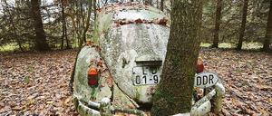 308828_0_f0ac4476.jpg