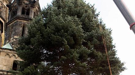Weihnachtsbaum