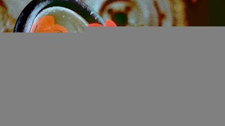 308936_0_b3435da2.jpg