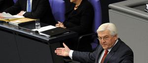 steinmeier_dpa