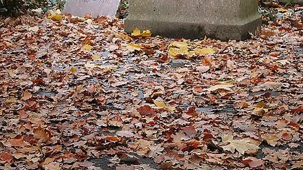 311051_0_2c7684bb.jpg