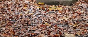 311051_0_2c7684bb.jpg