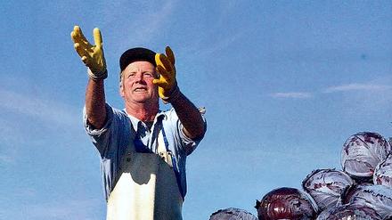 315028_0_9a185e07.jpg