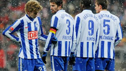 Fabian Lustenberger, Arne Friedrich, Ramos Vasquez, Nemanja Pejcinovic