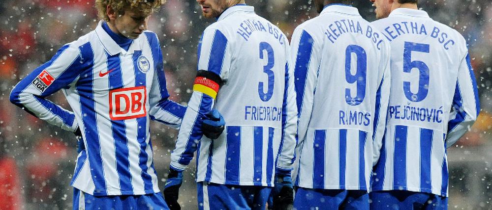 Fabian Lustenberger, Arne Friedrich, Ramos Vasquez, Nemanja Pejcinovic