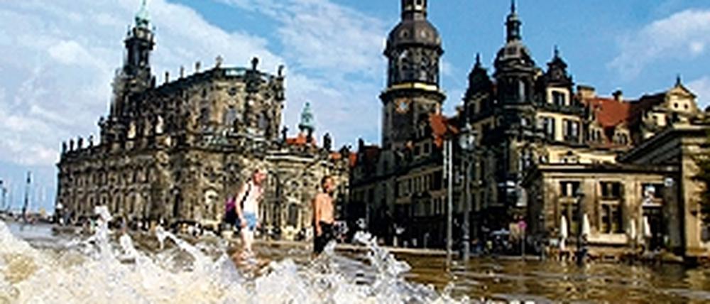 316430_0_edd93b99.jpg