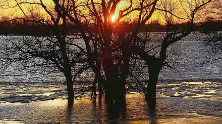 316715_0_5b69b6b5.jpg