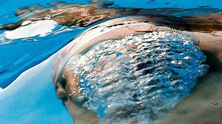 316633_0_3e7edeab.jpg