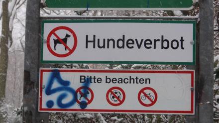 Hunderverbot Kollwitzplatz