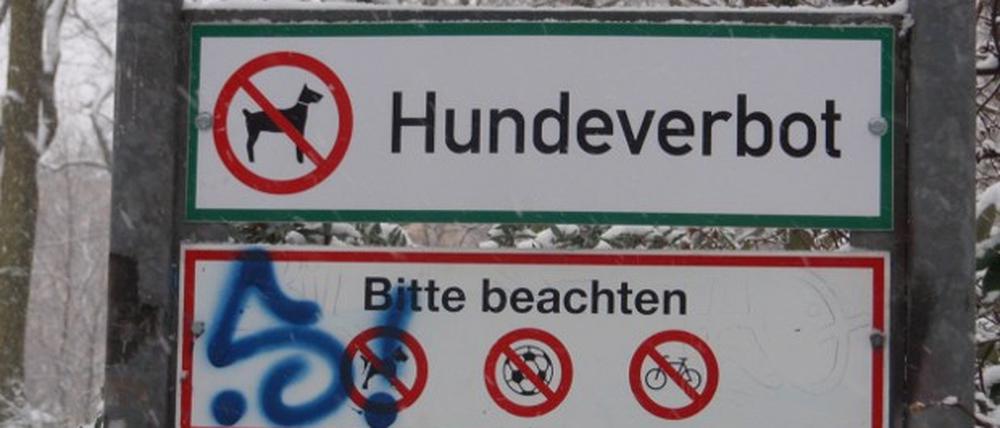 Hunderverbot Kollwitzplatz