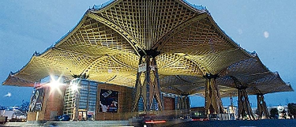 316403_0_9307911f.jpg
