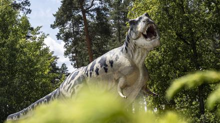 Groarrr! Dieser wilde Dinosaurier erwartet die Besucher schon am Parkplatz.