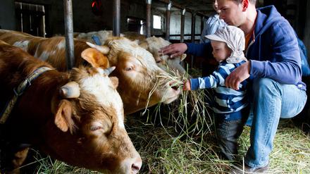 Im Umgang mit Tieren können Kinder viel lernen. Gut, dass Brandenburg so nah ist.