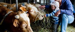 Im Umgang mit Tieren können Kinder viel lernen. Gut, dass Brandenburg so nah ist.