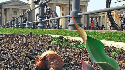 Dax-Unternehmen sollen sich wohlfühlen in Berlin.