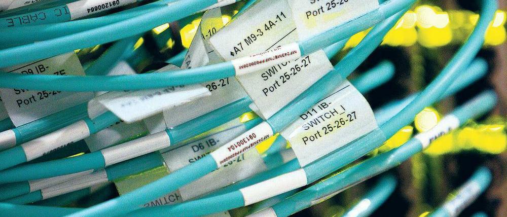 Gut vernetzt. Rund ein Viertel der Deutschen sind regelmäßig in sozialen Netzwerken unterwegs, bei den Jugendlichen liegt der Anteil sogar bei 75 Prozent. Foto: dpa