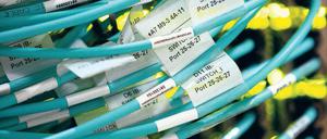 Gut vernetzt. Rund ein Viertel der Deutschen sind regelmäßig in sozialen Netzwerken unterwegs, bei den Jugendlichen liegt der Anteil sogar bei 75 Prozent. Foto: dpa