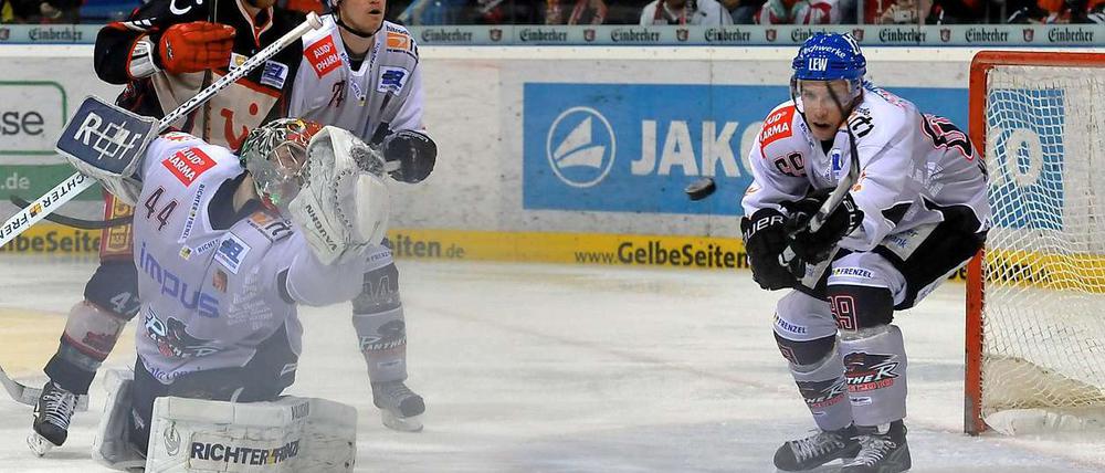 Adam Mitchell (l., hinten) von den Scorpions schaut zusammen mit Augsburgs Benedikt Kohl zu, wie Florian Kettemer (r.) für seinen geschlagenen Torwart Dennis Endras (l.) klärt.