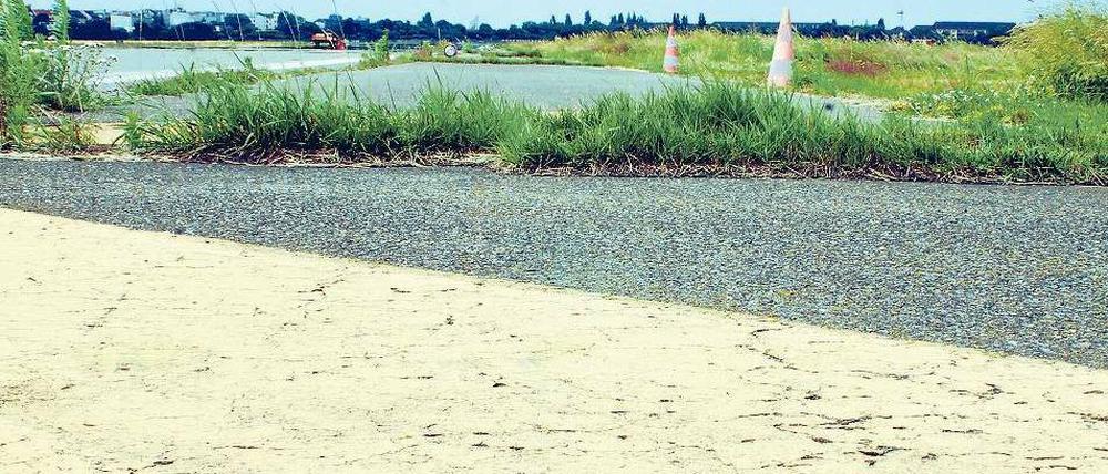 Die Stadt, das Gras und der Asphalt. Blick auf das Tempelhofer Rollfeld. Am Sonnabend wird es für Besucher geöffnet, erstmals seit der Flughafenschließung. 