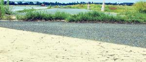 Die Stadt, das Gras und der Asphalt. Blick auf das Tempelhofer Rollfeld. Am Sonnabend wird es für Besucher geöffnet, erstmals seit der Flughafenschließung. 