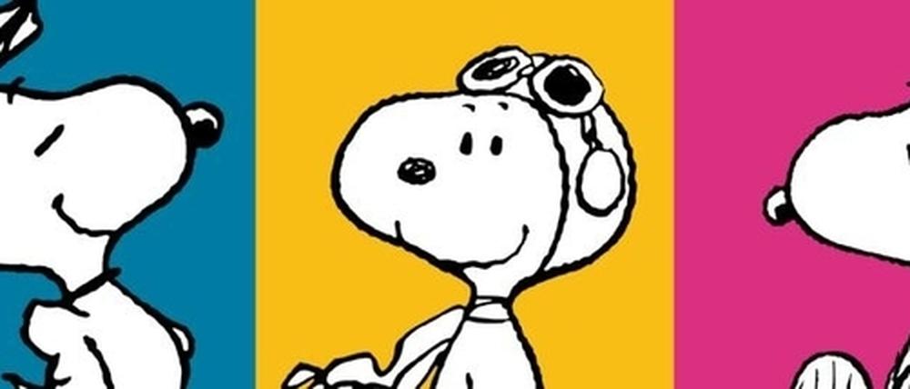 242203_3_Snoopy_quer.jpeg