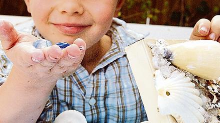 302605_0_761f21ba.jpg