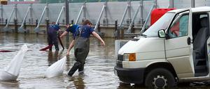 Feuerwehrmänner decken am Donnerstag mit Sandsäcken an der Promenade in Frankfurt an der Oder Kanaldeckel ab, aus denen Grundwasser hoch drückt.