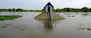 Alarmstufe eins. Die Oder - hier am Pegelhäuschen in Ratzdorf - steigt.