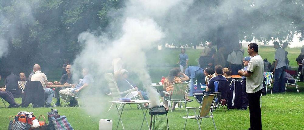 Damit soll während der WM Schluss sein: dicke Rauchschwaden über dem Tiergarten.