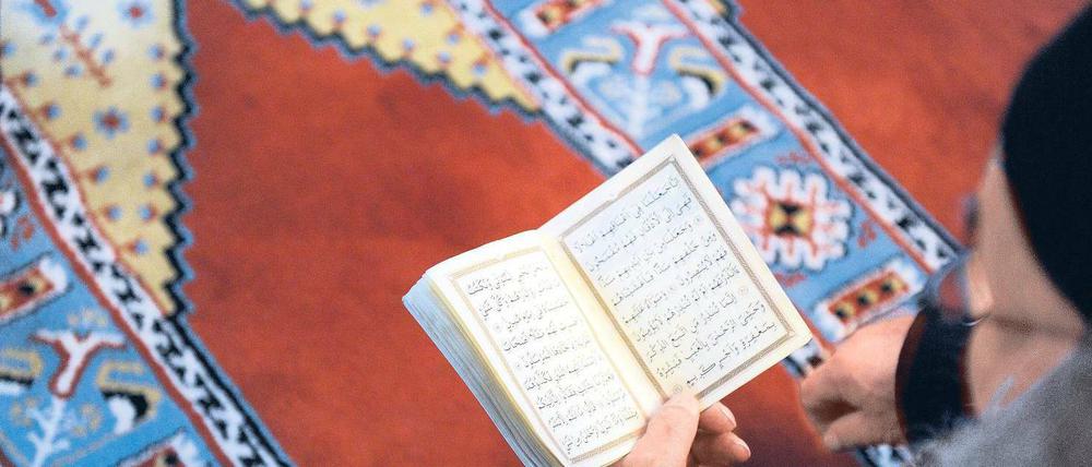 Ein Teil Deutschlands: Gläubiger bei der Koranlektüre in der Essener Fatih-Moschee. 