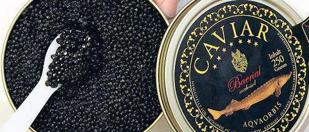 Kaviar in Dosen. Für Luxusgüter wie Delikatessen, Autos, Schmuck oder Kunst geben die Reichen ein Drittel ihres Vermögens aus. 
