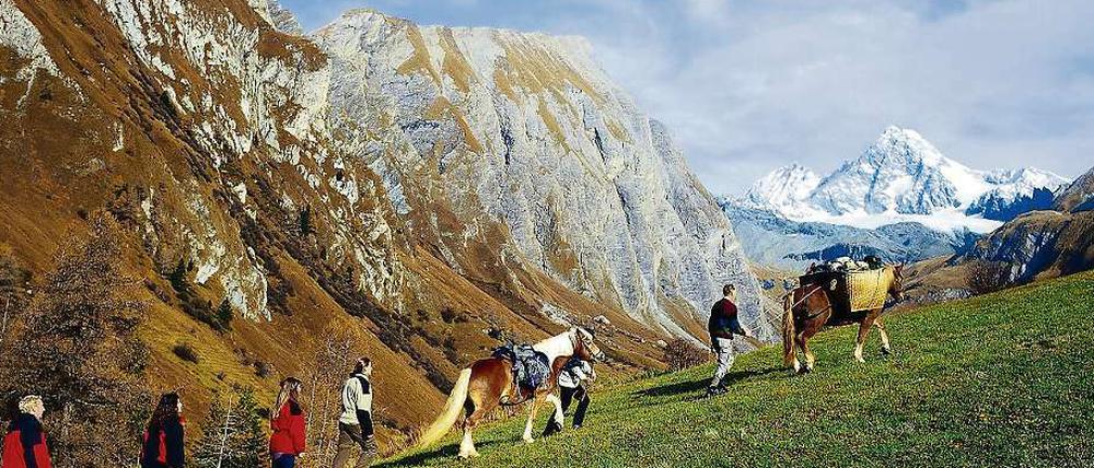 Ganz gemächlich im Haflinger-Treck zum noch fernen Großglockner.