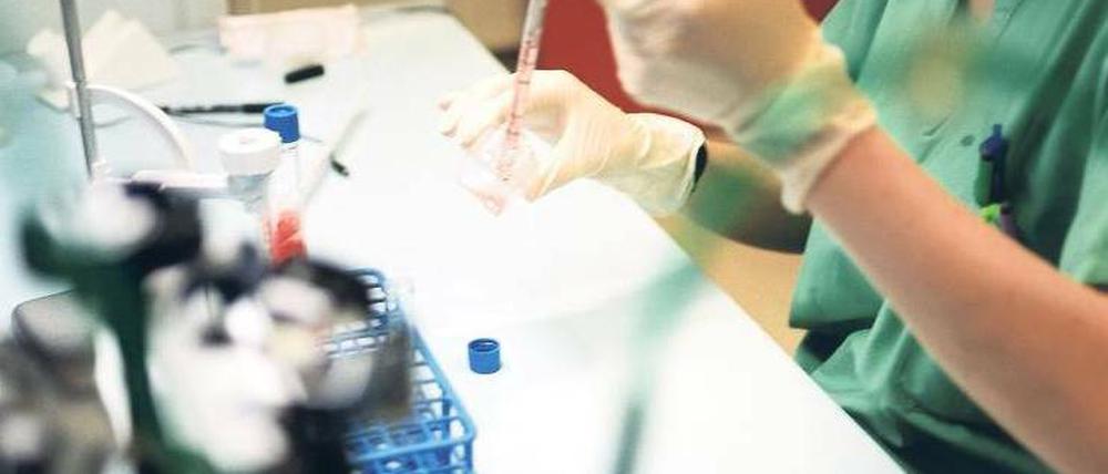 Umstrittene Präimplantationsdiagnostik. Der Bundesgerichtshof entschied am vergangenen Dienstag, dass Gentests an befruchteten Eizellen nicht strafbar sind.