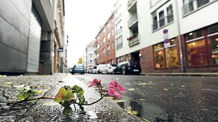 Klein-Chicago. Alfred Döblin beobachtete in den zwanziger Jahren in der Mulackstraße in Mitte ein dauerndes „Hinundherlungern“. Heute wandern Touristen mit Fotoapparaten aus den nahe gelegenen Hostels die Straße hoch und runter.