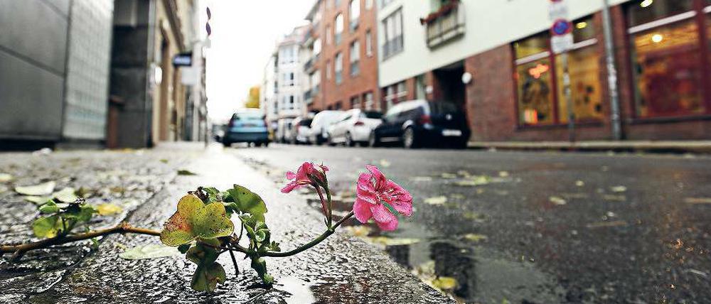 Klein-Chicago. Alfred Döblin beobachtete in den zwanziger Jahren in der Mulackstraße in Mitte ein dauerndes „Hinundherlungern“. Heute wandern Touristen mit Fotoapparaten aus den nahe gelegenen Hostels die Straße hoch und runter. 