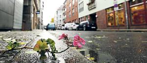Klein-Chicago. Alfred Döblin beobachtete in den zwanziger Jahren in der Mulackstraße in Mitte ein dauerndes „Hinundherlungern“. Heute wandern Touristen mit Fotoapparaten aus den nahe gelegenen Hostels die Straße hoch und runter. 