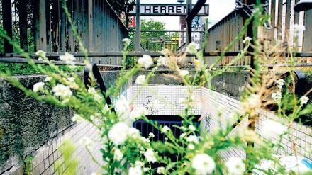 Yorckstraße in Kreuzberg und Schöneberg: Verschönerung erwünscht: Der Mittelstreifen der Yorckstraße ist zwar grün - doch ziemlich verwahrlost.